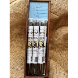 Tube verre 3 gousses vanille - P