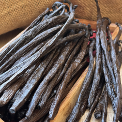 Gousses vanilles noires gourmet Grand Cru -P- 1kg