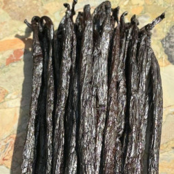 Gousses Vanilles Noires Gourmet  "Lava" 1kg