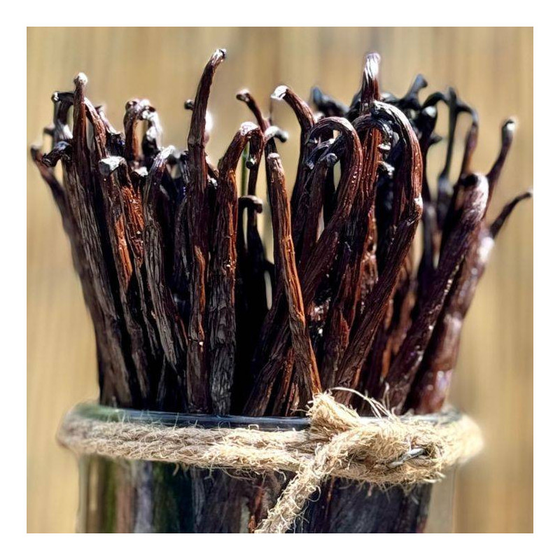Gousses vanilles noires gourmet Grand Cru 1kg Gousses vanilles noires gourmet Grand Cru 1kg